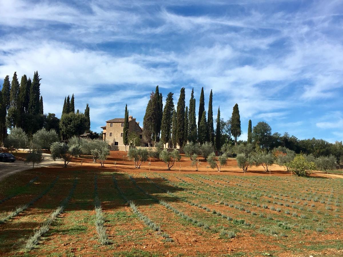La Tenuta Di Castelvecchio San Gimignano Buitenkant foto